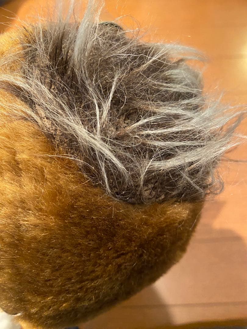 メリーソート　限定品　ビッグサイズ