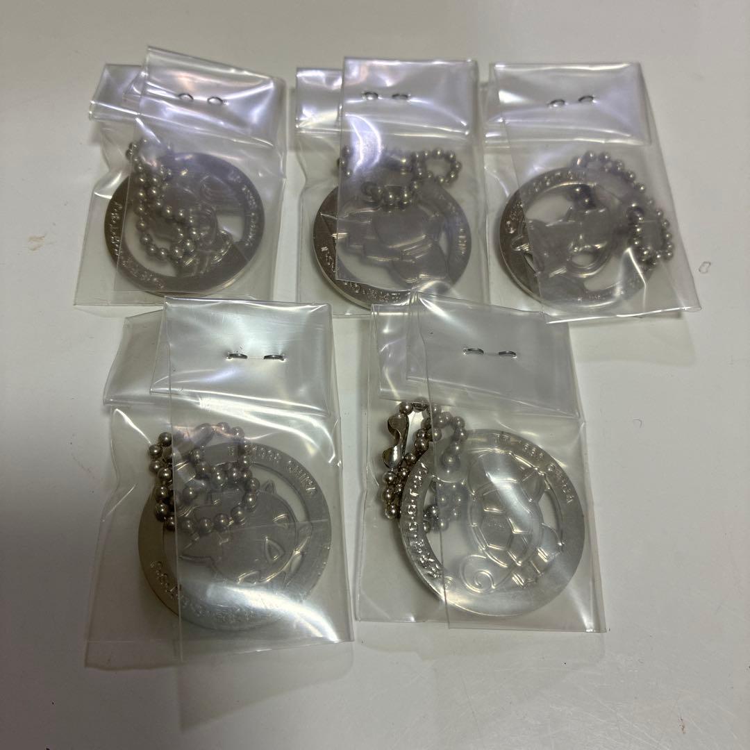 ポケモン　型チェーン　5種セット