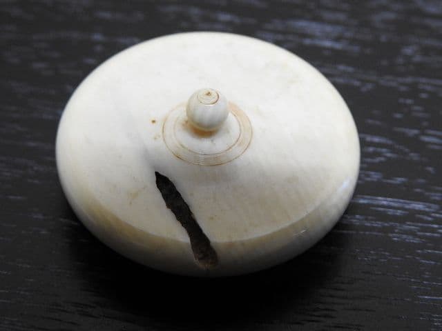 志戸呂焼？茶入　保存箱　MA１４１