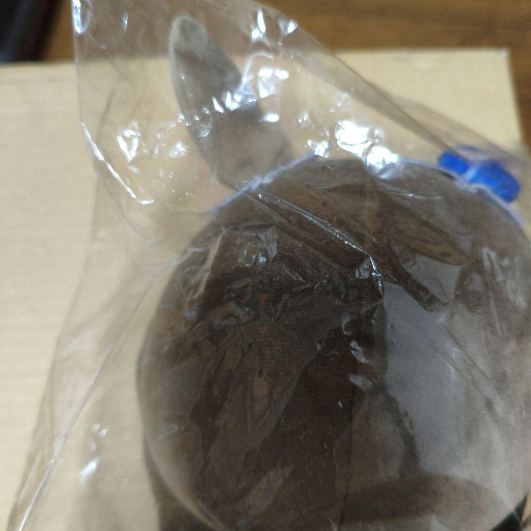 アドマイヤベガ　もちどる　ぬいぐるみ