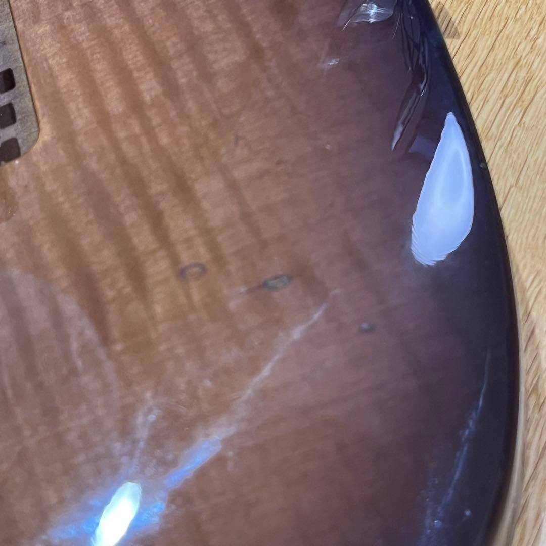 m*n様 Chatting Bird by Caparison ディンキータイプ