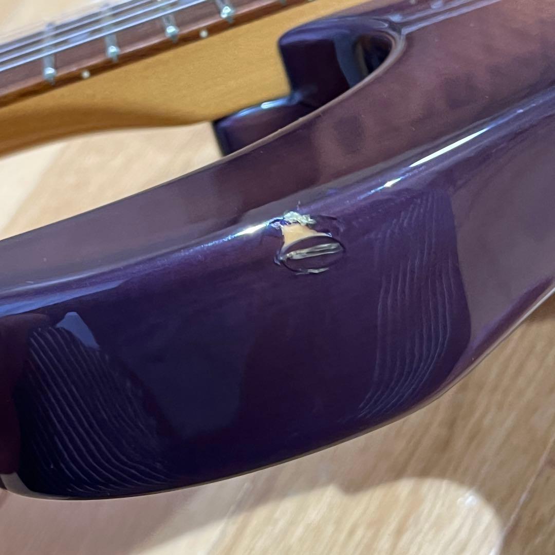 m*n様 Chatting Bird by Caparison ディンキータイプ