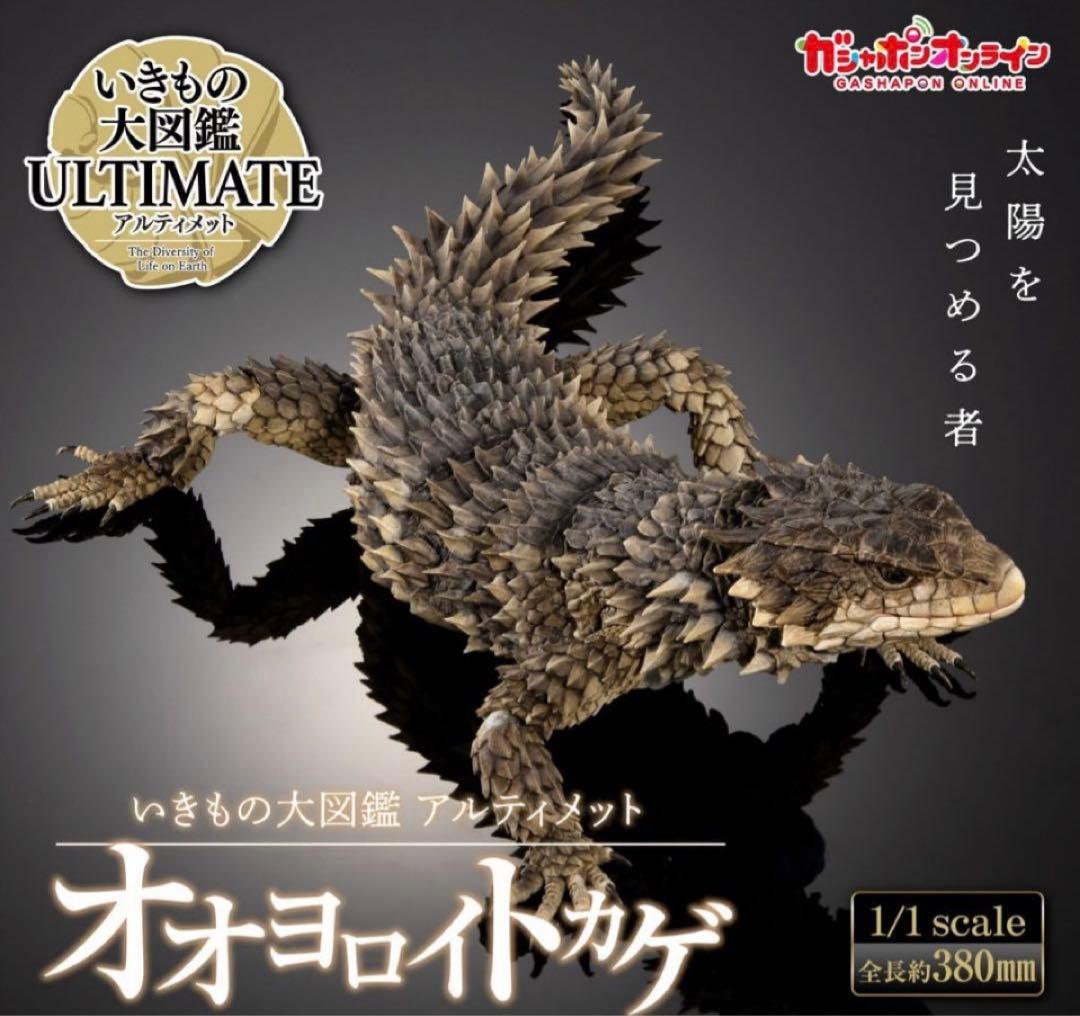 いきもの大図鑑アルティメット オオヨロイトカゲ 新品未開封
