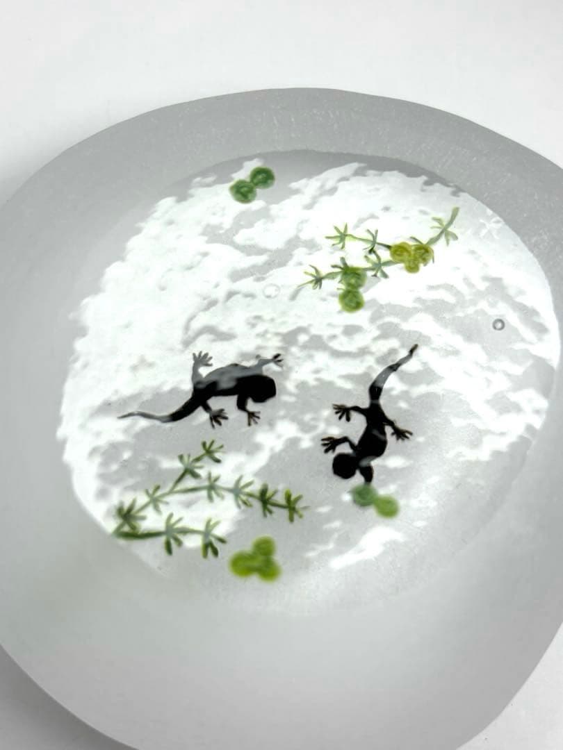 久保裕子さん作　ガラス　アカハライモリ　水草　ペーパーウェイト　文鎮　オブジェ