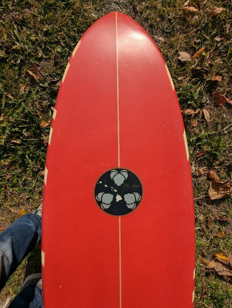 ジェリーロペスサーフボード cheetah6'8 ファンボード