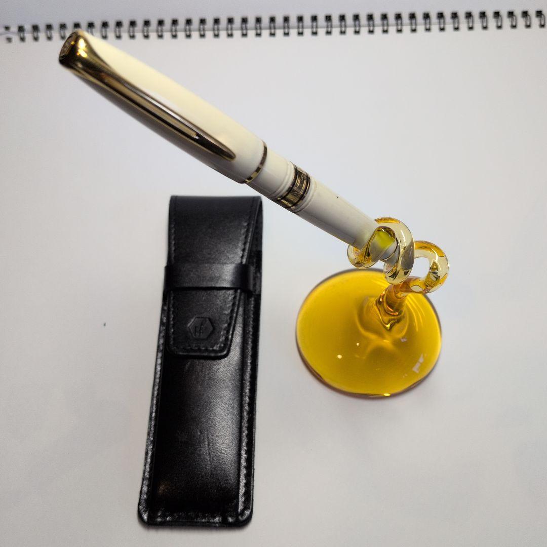 WATEMAN万年筆とペンケース