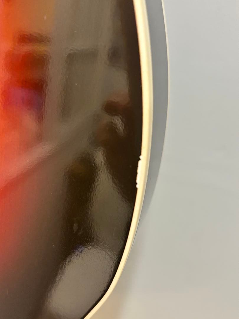 Vanzandt TLV-R2 【マダガスカルローズ指板】美品