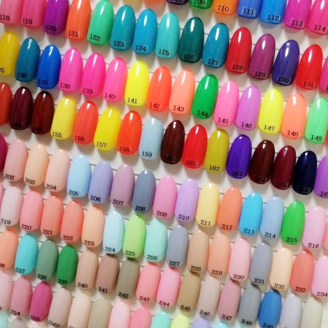 【1点限り】即日発送　プティール全色セット　アクリルケース付き