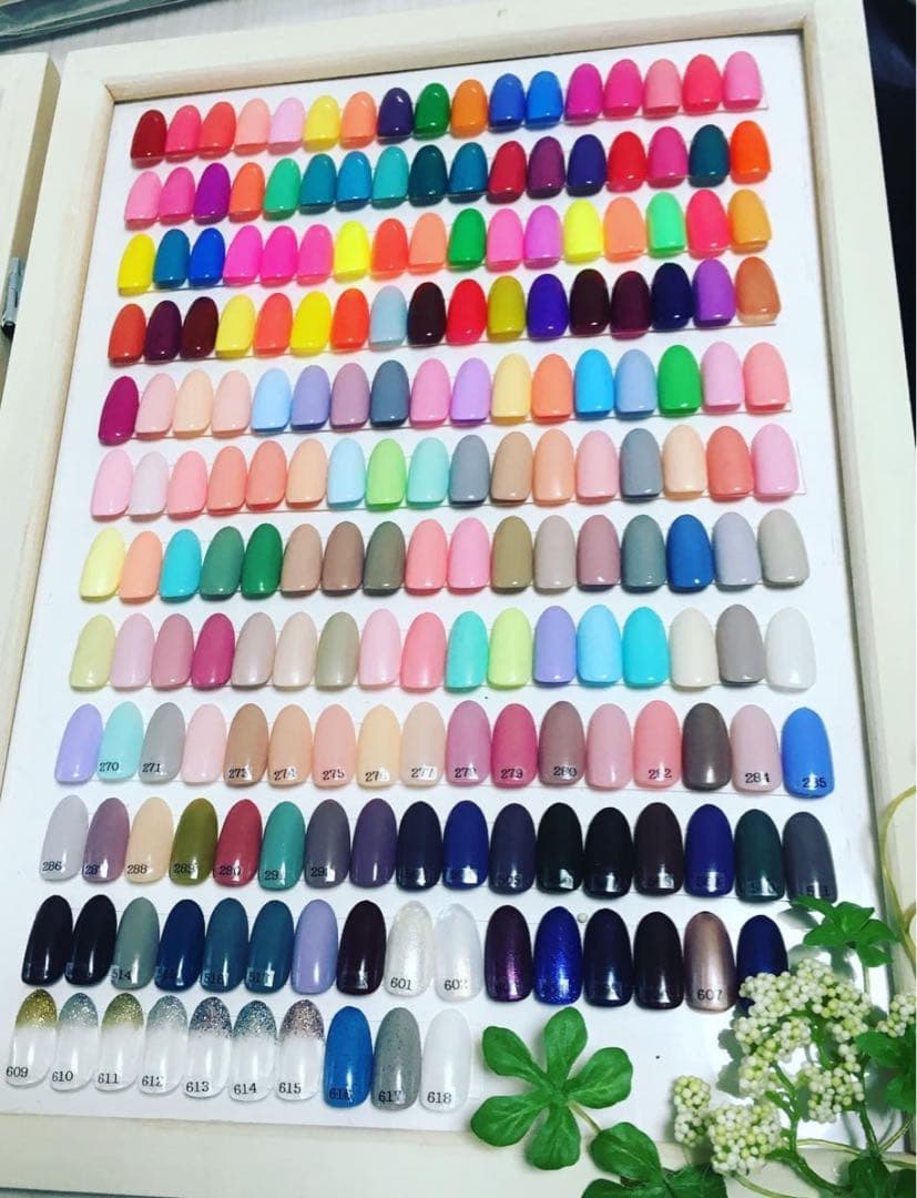 【1点限り】即日発送　プティール全色セット　アクリルケース付き