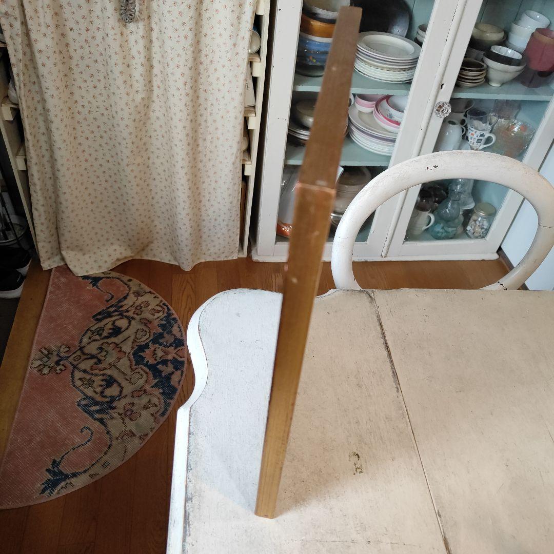 ボタニカルアート 植物画 アンティークフレーム入り