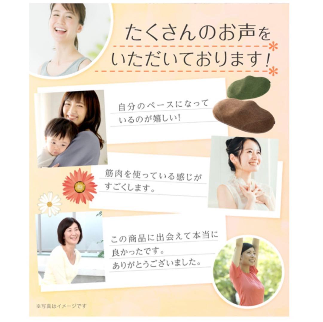 専用ラボネッツ 骨盤底筋エクササイズクッション キュットブル