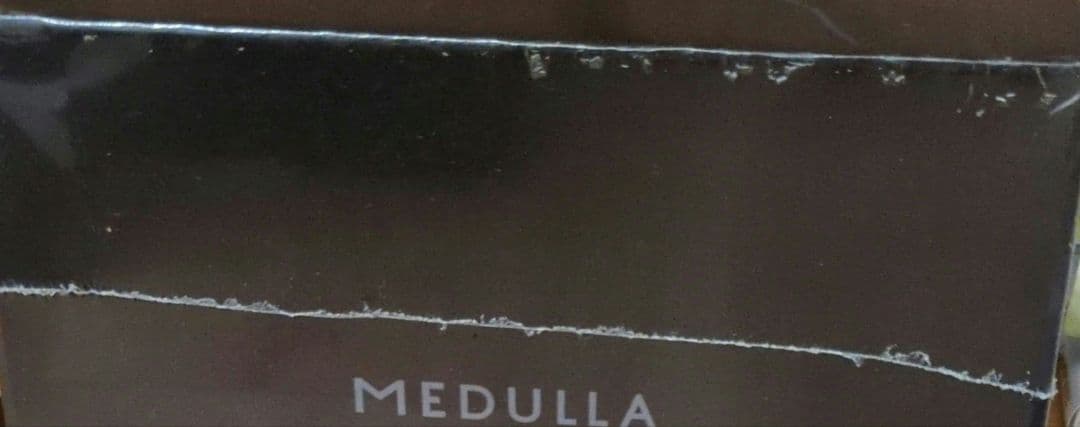 MEDULLA　ソニックシャインプロ
