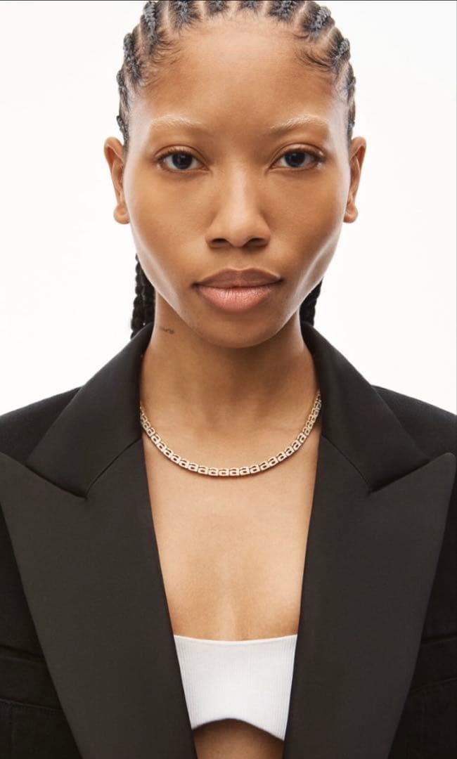 alexanderwang ネックレス