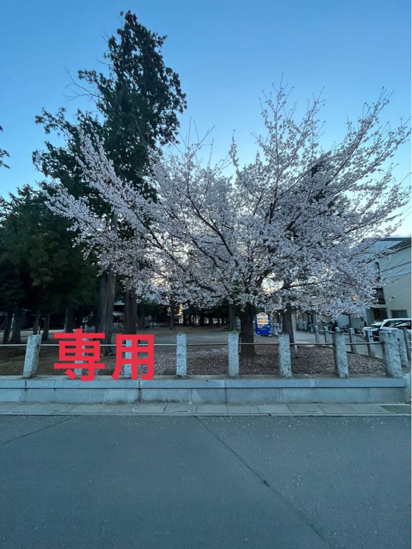 JEORG  シルバー925 ブローチ 224B デンマーク製