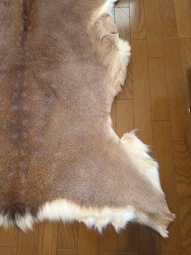 だ*ぶ様 蝦夷鹿毛皮ラグ　天然　バンビ