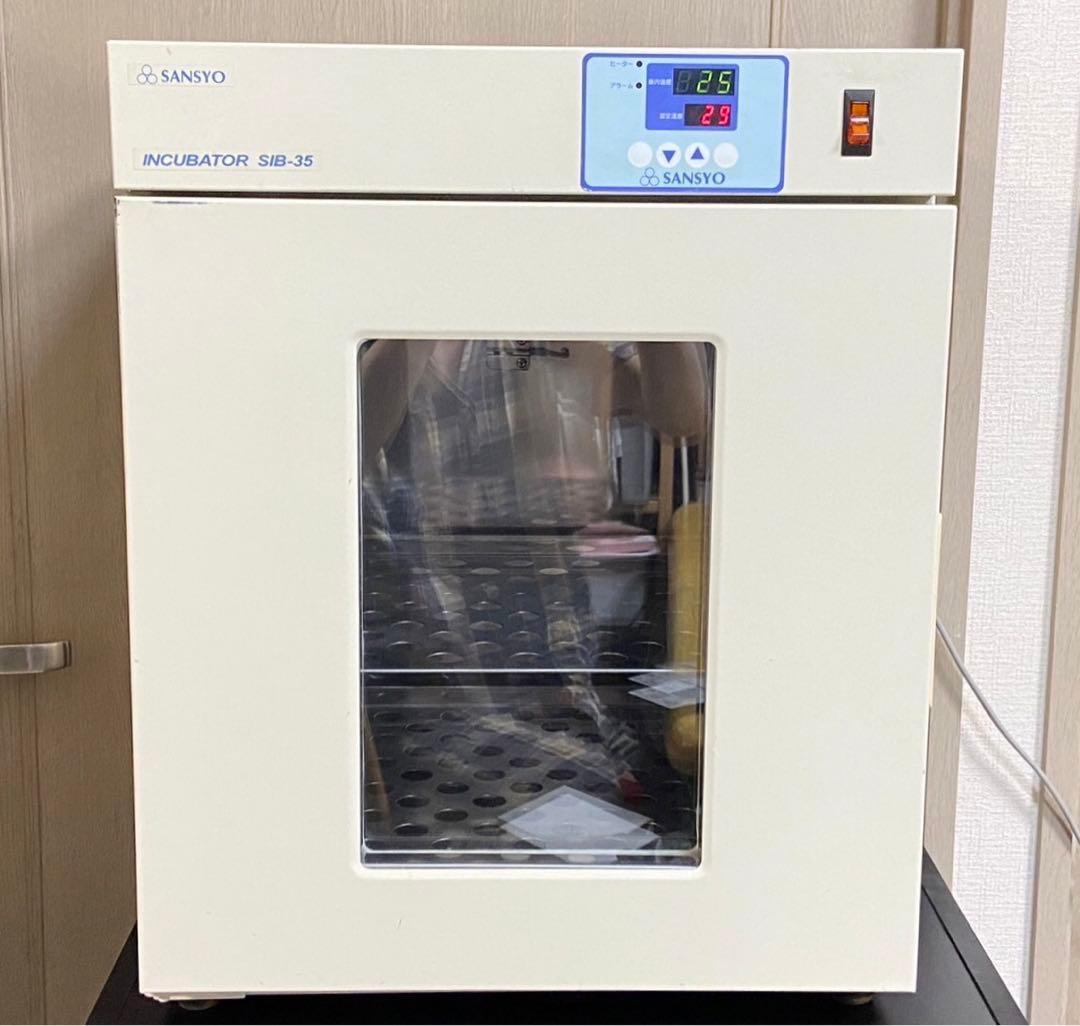三商 インキュベーター SIB-35 観察窓付 爬虫類 保温SANSYO