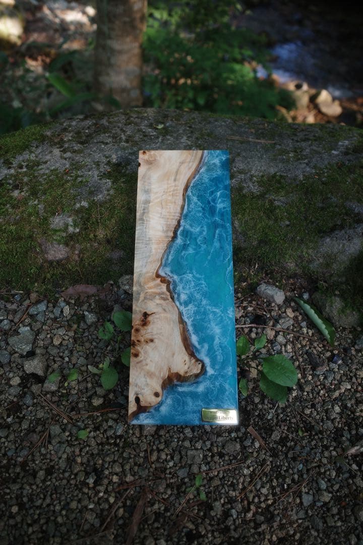 ocean liberty IGT ハーフユニット 2枚セット