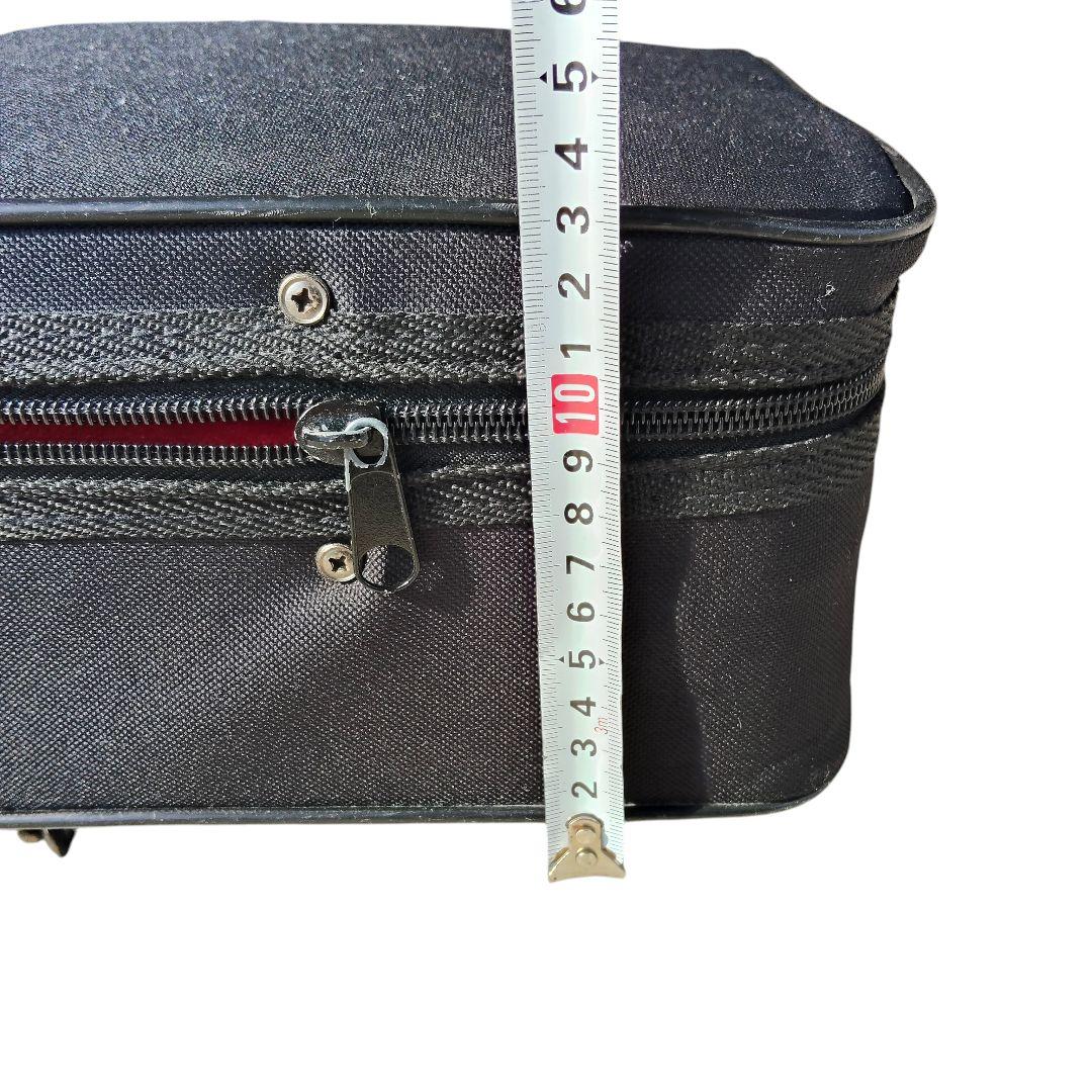 沖縄三線 蛇皮柄 人工皮 ハードケース付き 伝統楽器 さんしん 民族楽器 初心者