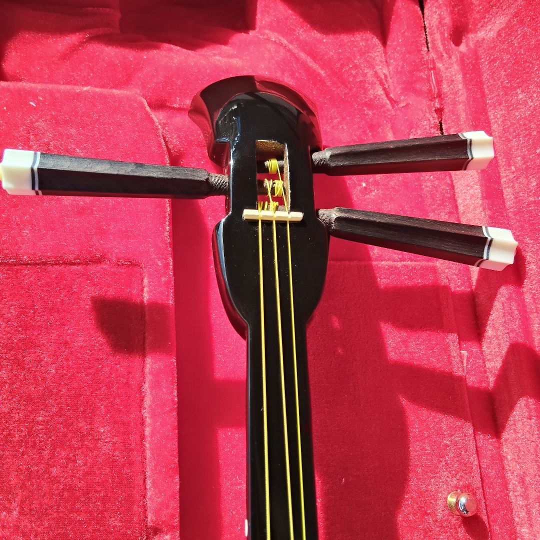 沖縄三線 蛇皮柄 人工皮 ハードケース付き 伝統楽器 さんしん 民族楽器 初心者