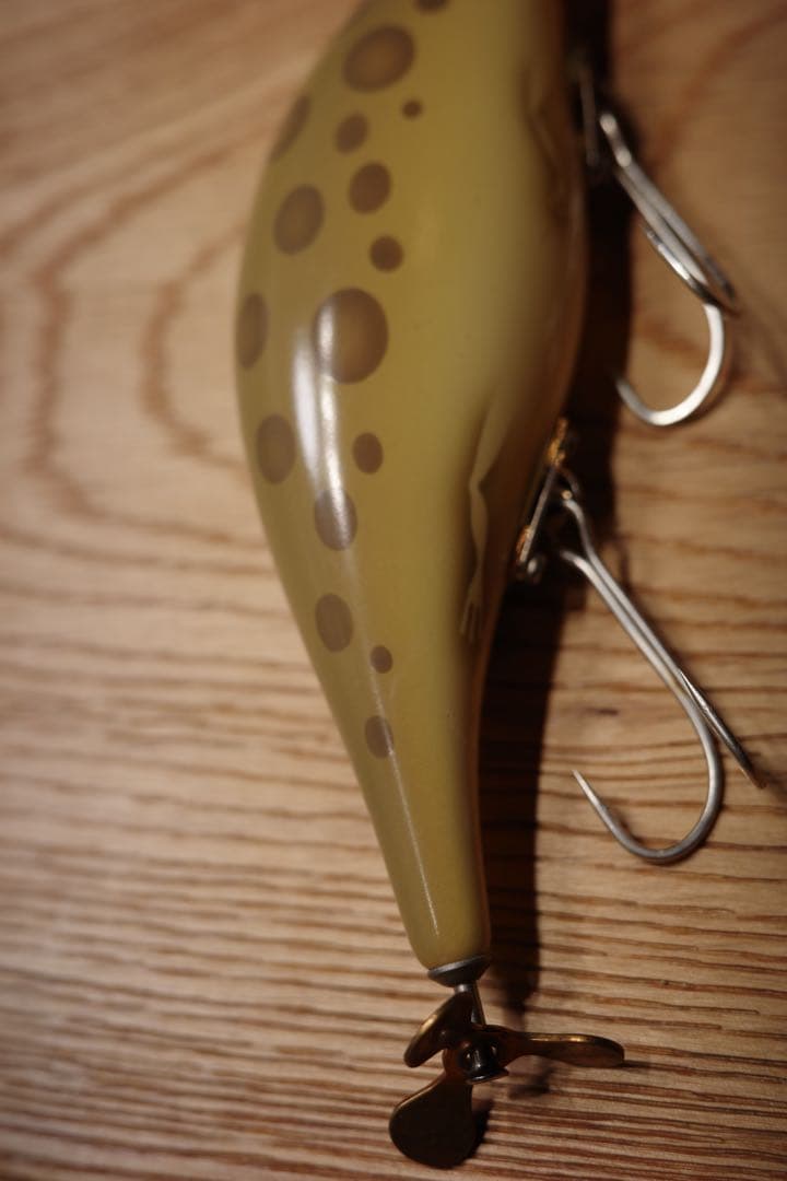 ローカル　どじょう