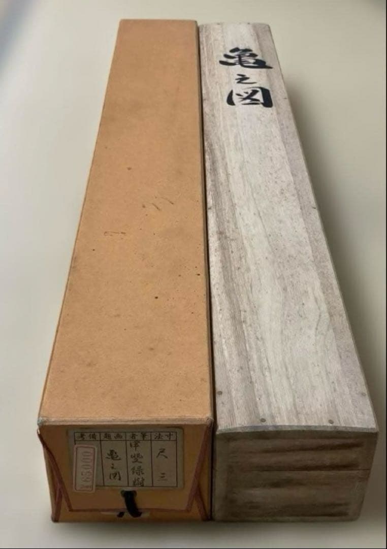 亀之図 尺三 掛軸 甲斐緑樹 落款印 箱 木箱付き 春光美術院