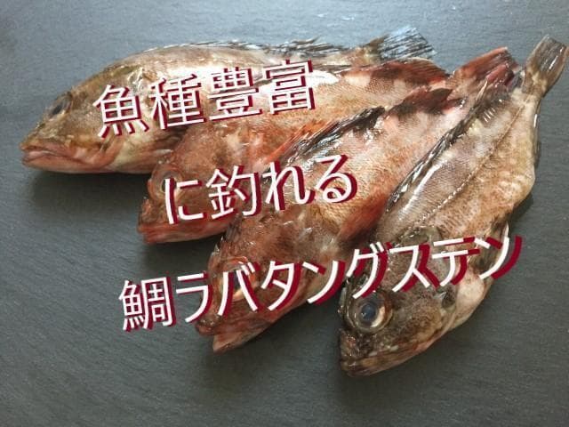 爆釣トリオ 100g 計3個 タイラバ タングステン