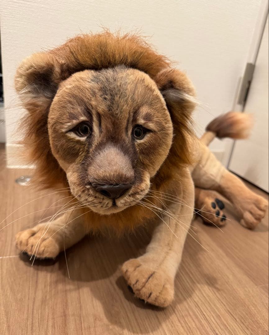 海外作家様作　アートドール　帽子を被ったライオン