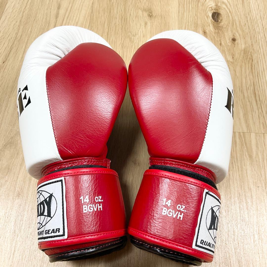 【状態良好】RISE公式 WINDY製 ボクシンググローブ 14oz. BGVH