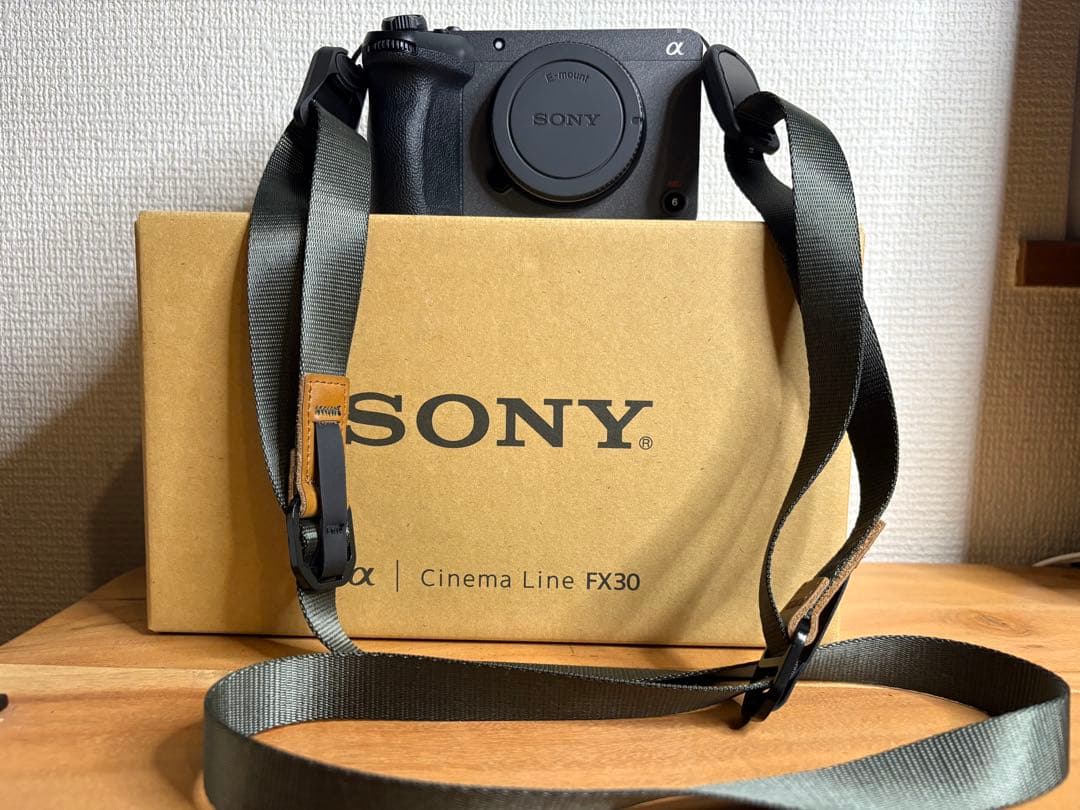 【フルセット】SONY αFX30 レンズ2本 ショッドガンマイク ジンバル