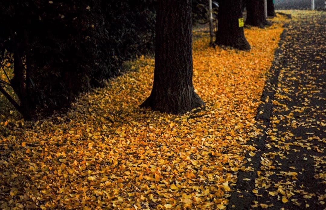 ＊KYYST5＊様専‼️レンズ込み