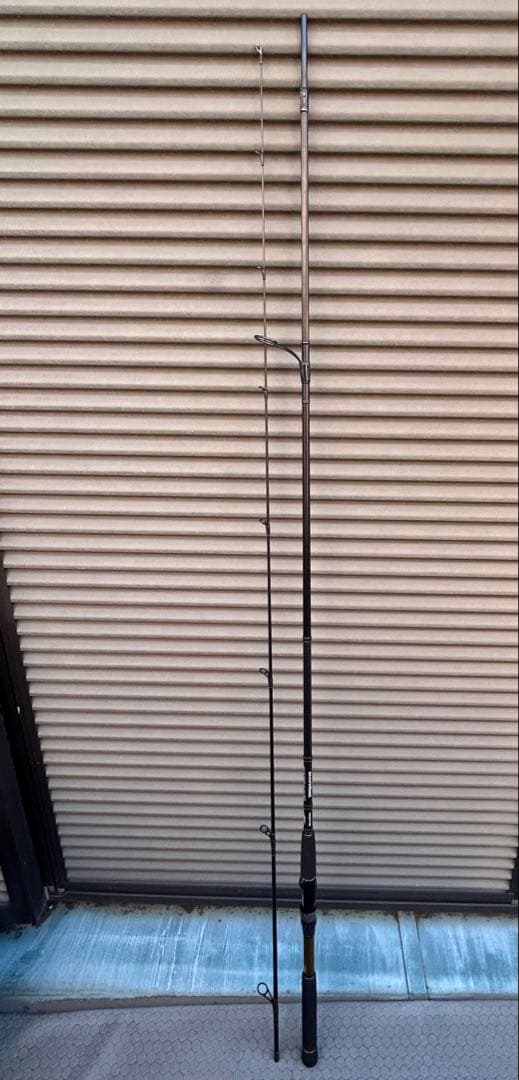 ダイワ モアザン ブランジーノ EX AGS 97MML