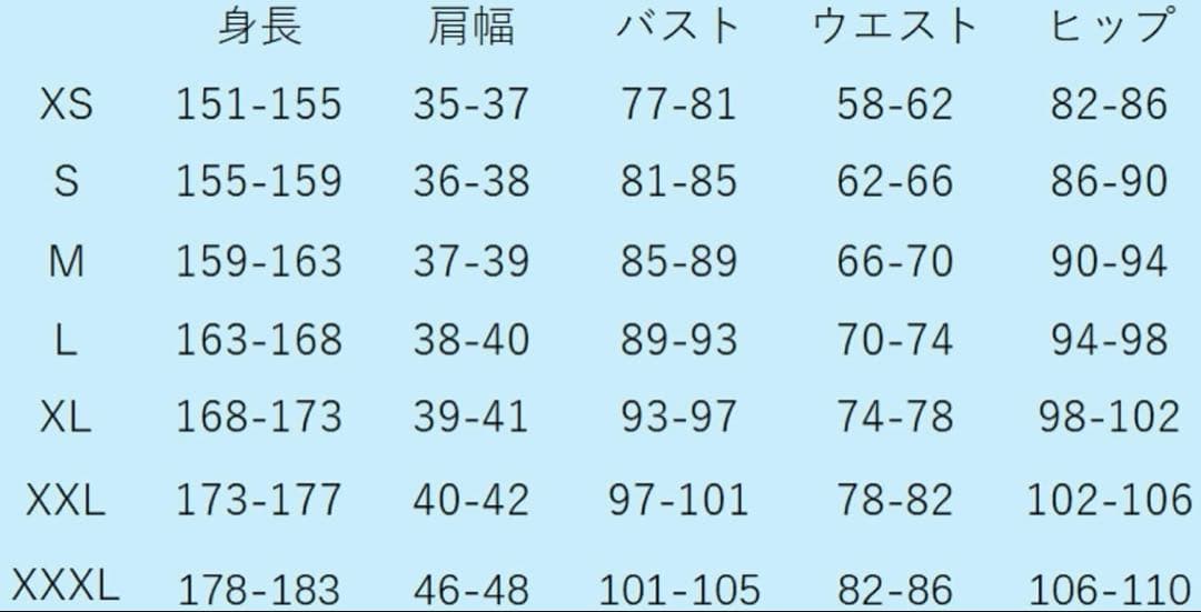 雪ミク2025/初音ミク/フルセット