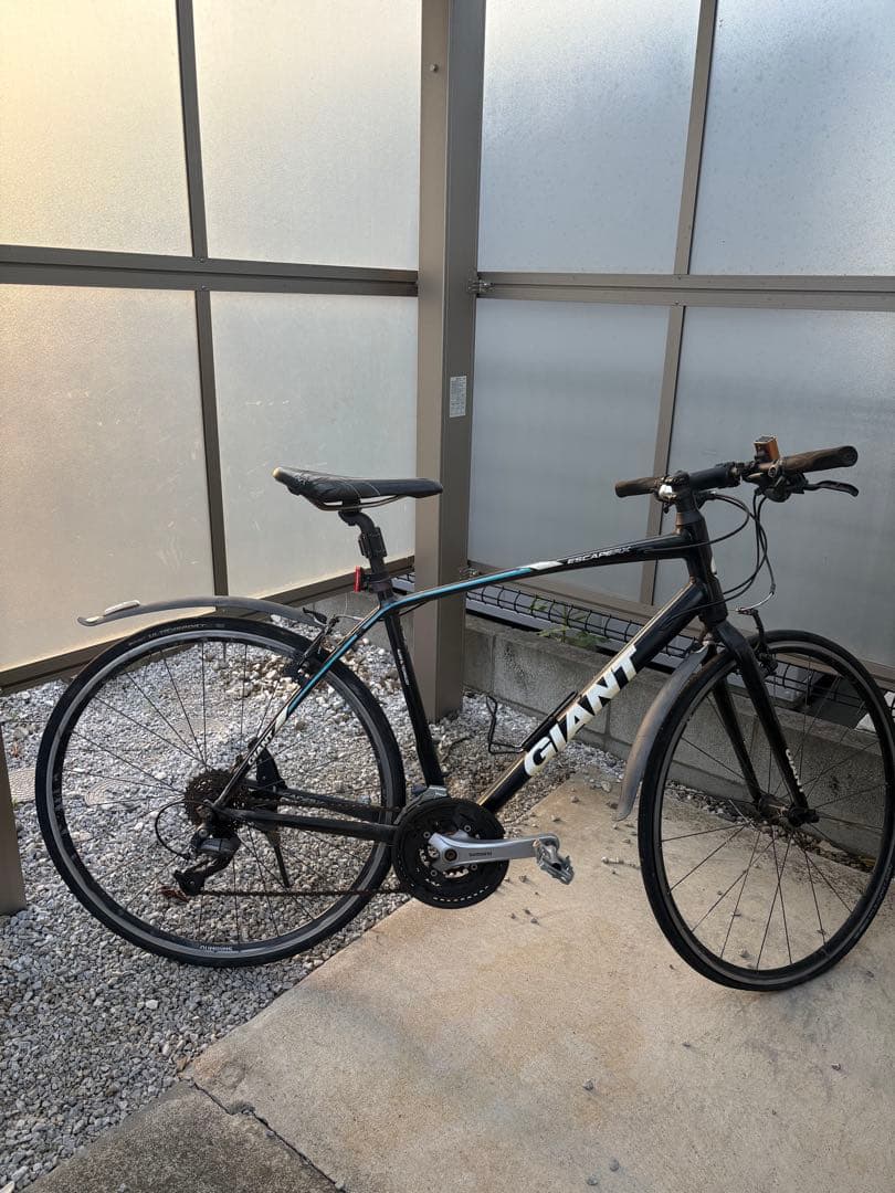 こっけ　　　　　　　　　　　GIANT ESCAPER X Mサイズ