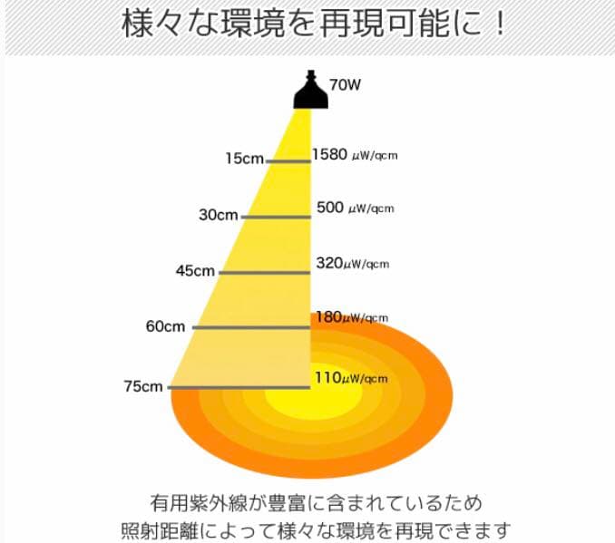 ソラリウム　交換球　70W