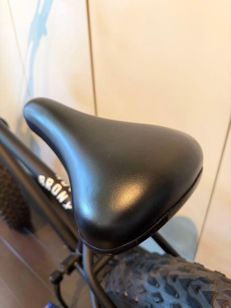 BRONX20 ファットバイク CUSTOM マットブラック　完全室内保管