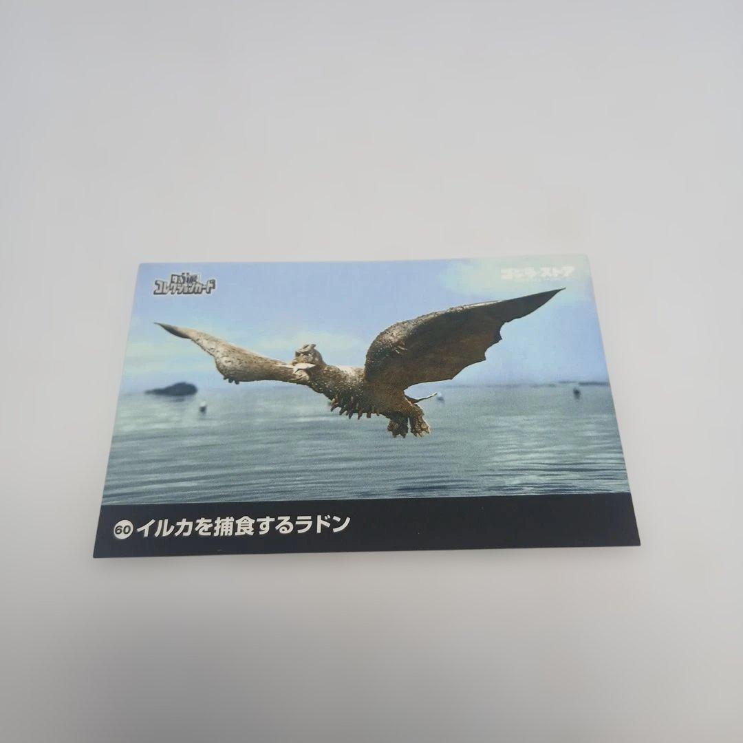 ゴジラ（2023） ジャパンゴジラ　4種セット　桜カラー、富士山、墨絵、紅葉