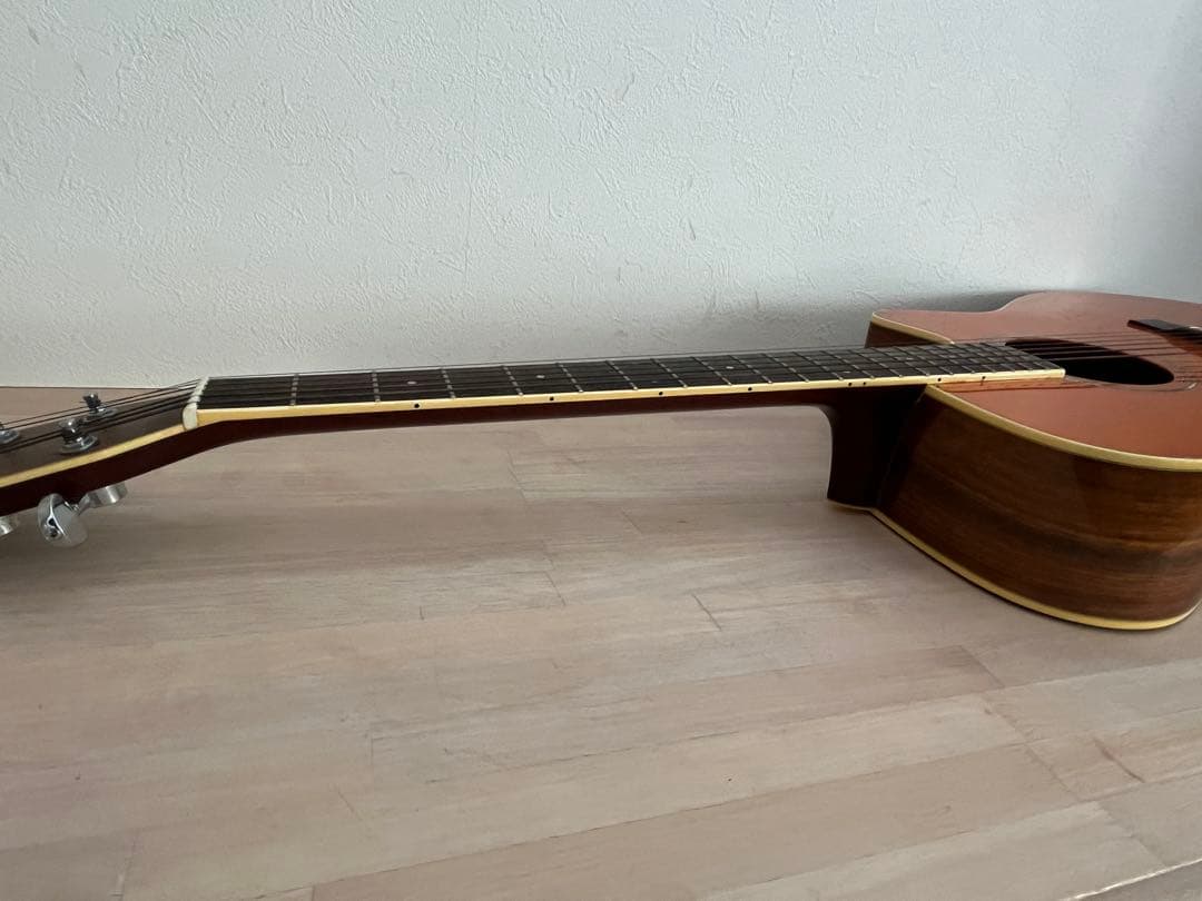 Morris Rumbler RA800P アコースティックギター