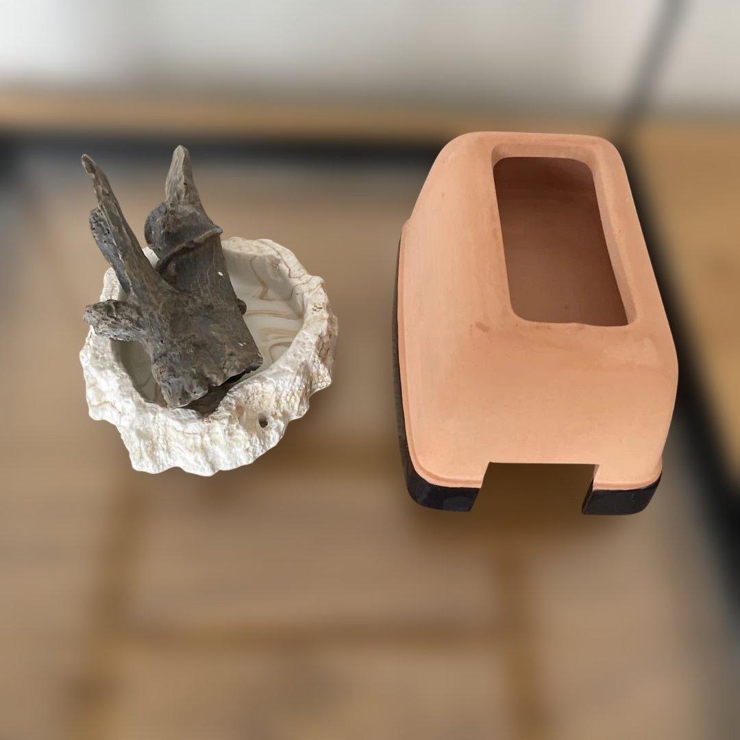 グラステラリウム3030 Exo Terra 飼育ケージ 中型