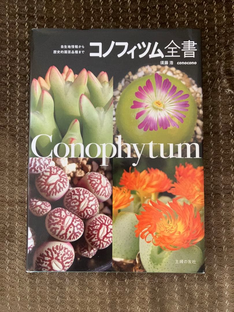 コノフィツム全書