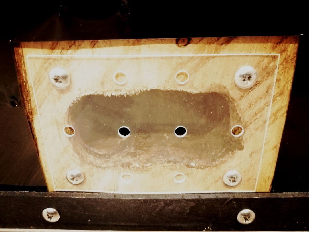 新リアルタイプ！オオクワ　壁掛け　飼育　テラリウム　2022 クワガタ