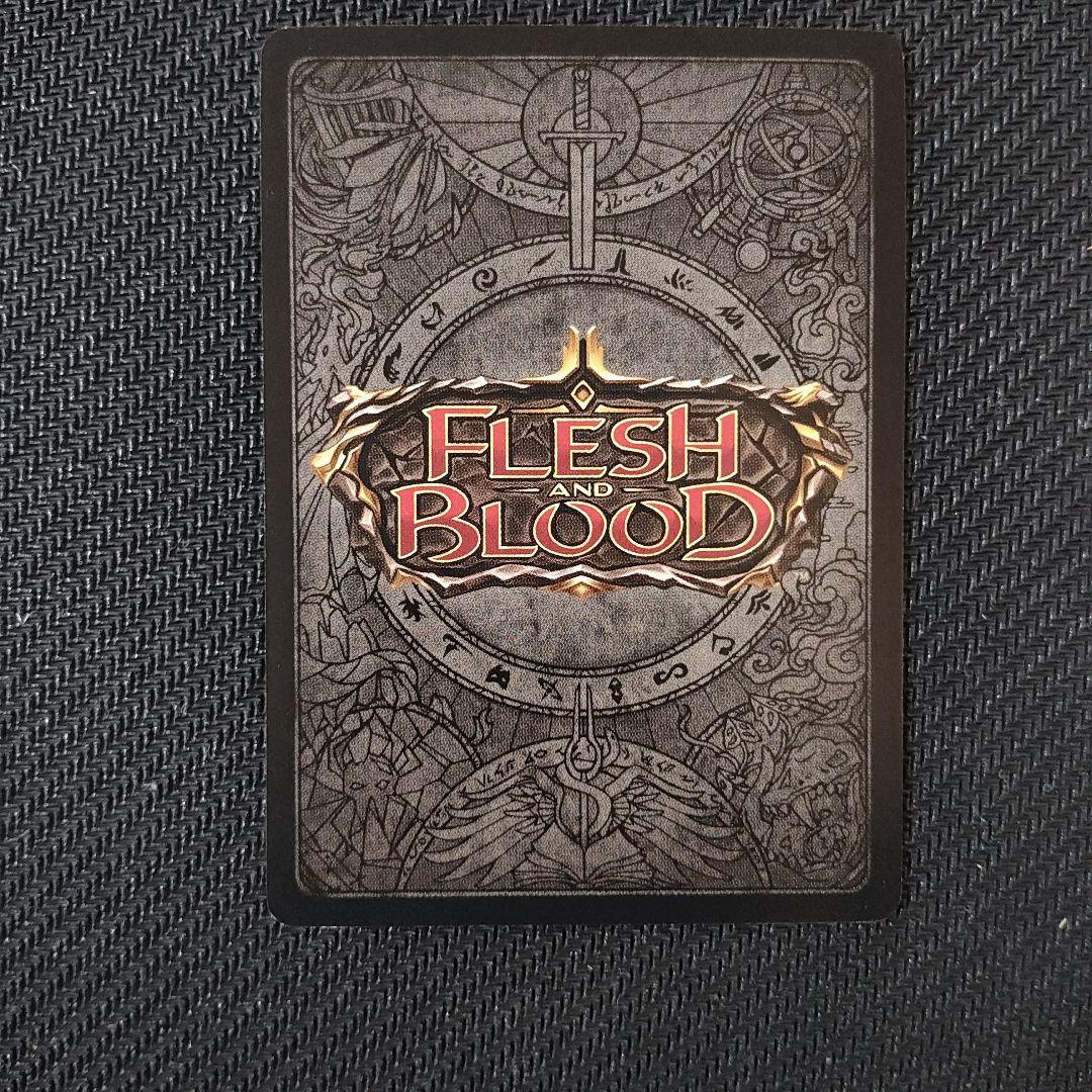 Flesh and BloodShelterfromtheStorm嵐からの避難