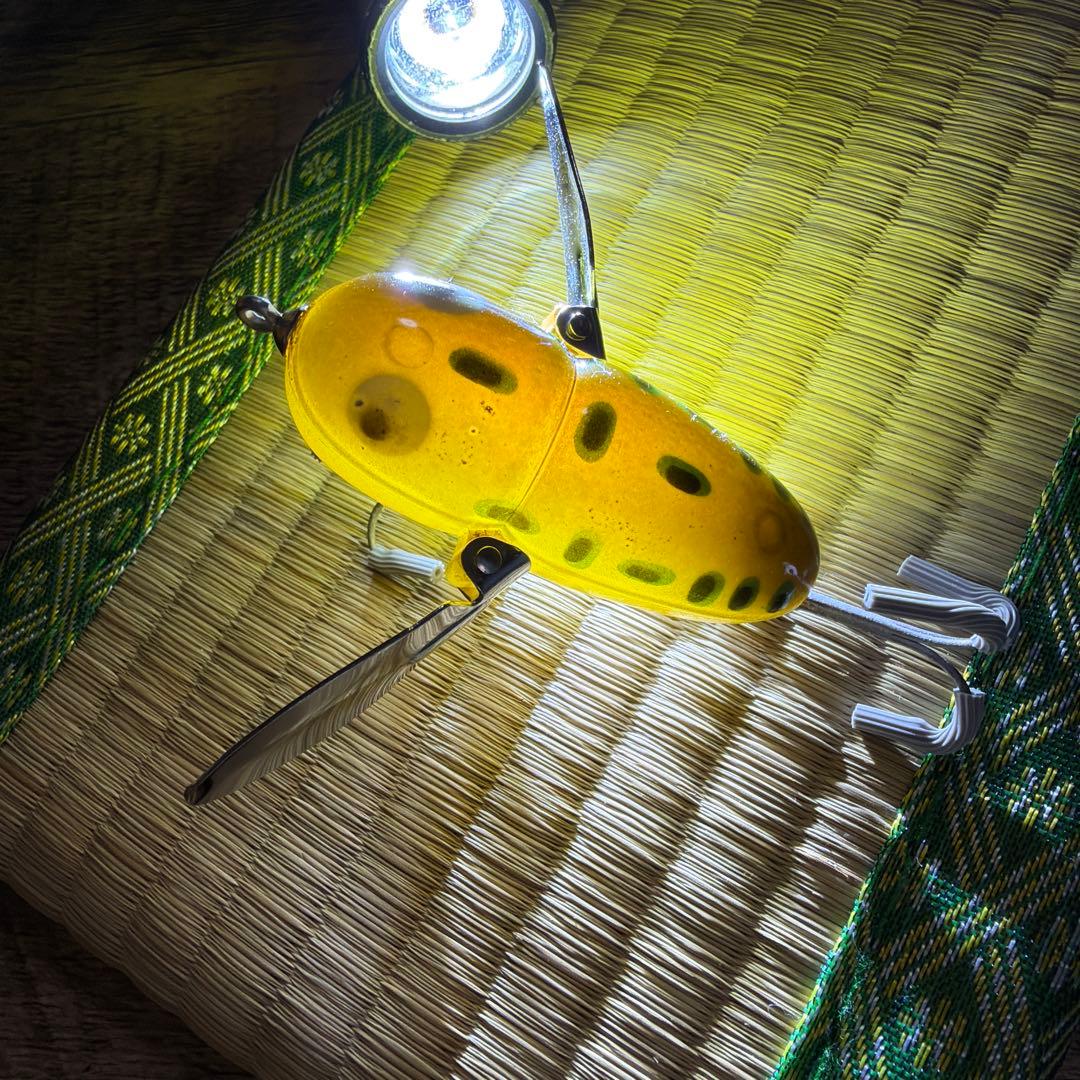 レア個体！スケスケ！ オールド ヘドン クレイジークローラー BFカラー