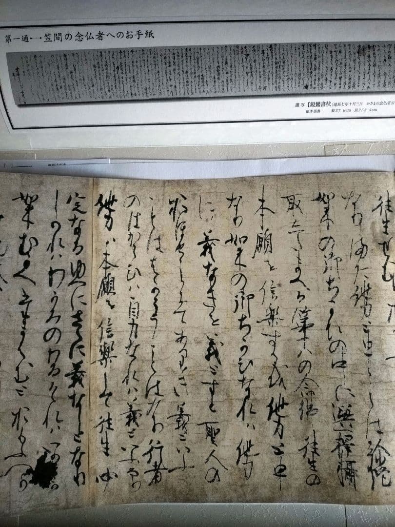 ちうみ　【大幅値下げ❗】新品　親鸞聖人のお手紙　全12通