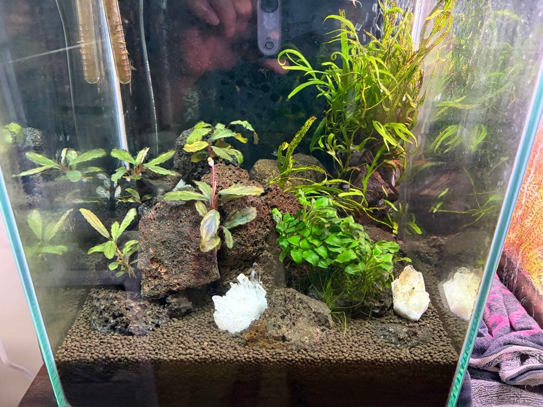 30センチ水槽セット　ADA