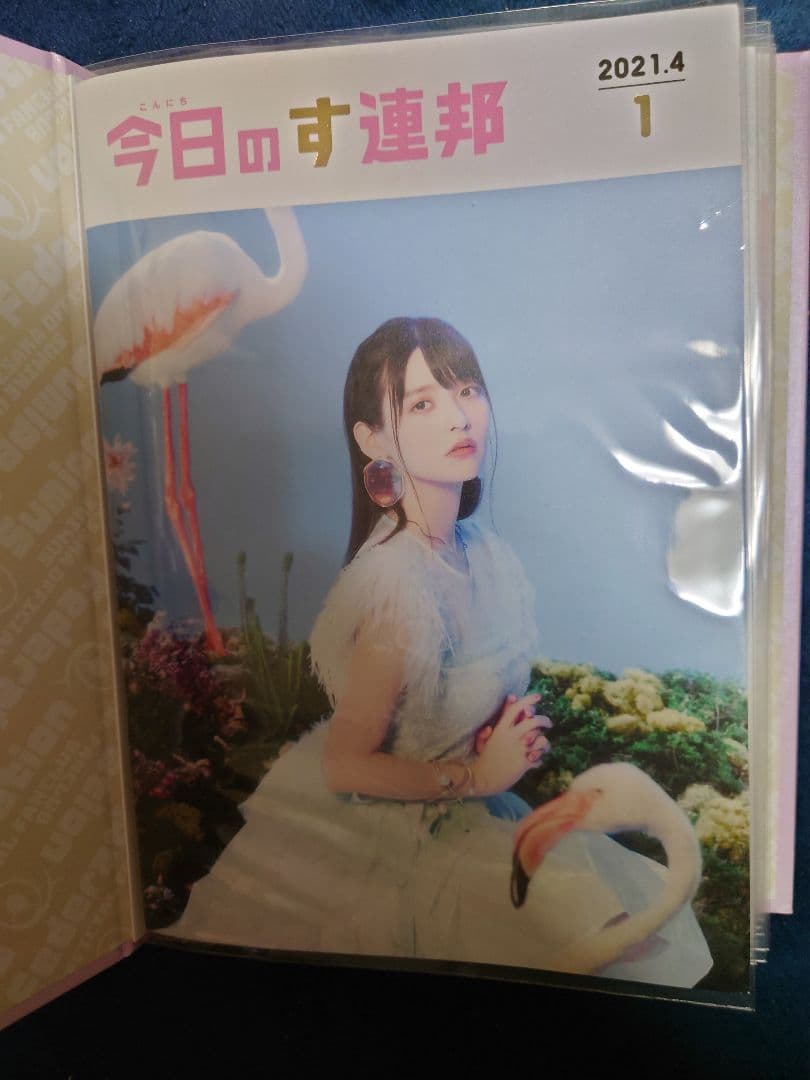 上坂すみれ ファンクラブ会報誌 全11部 専用バインダー付属