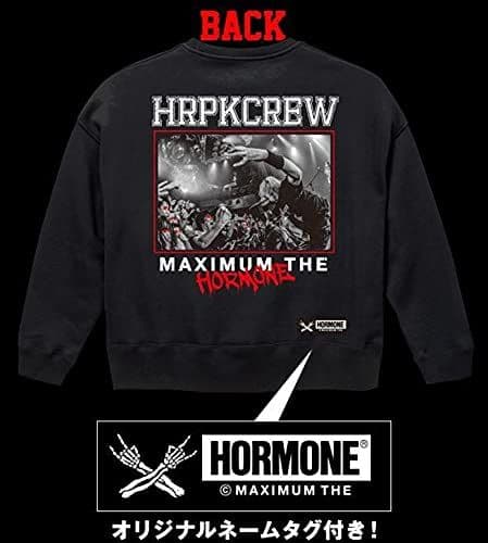 マキシマムザホルモン