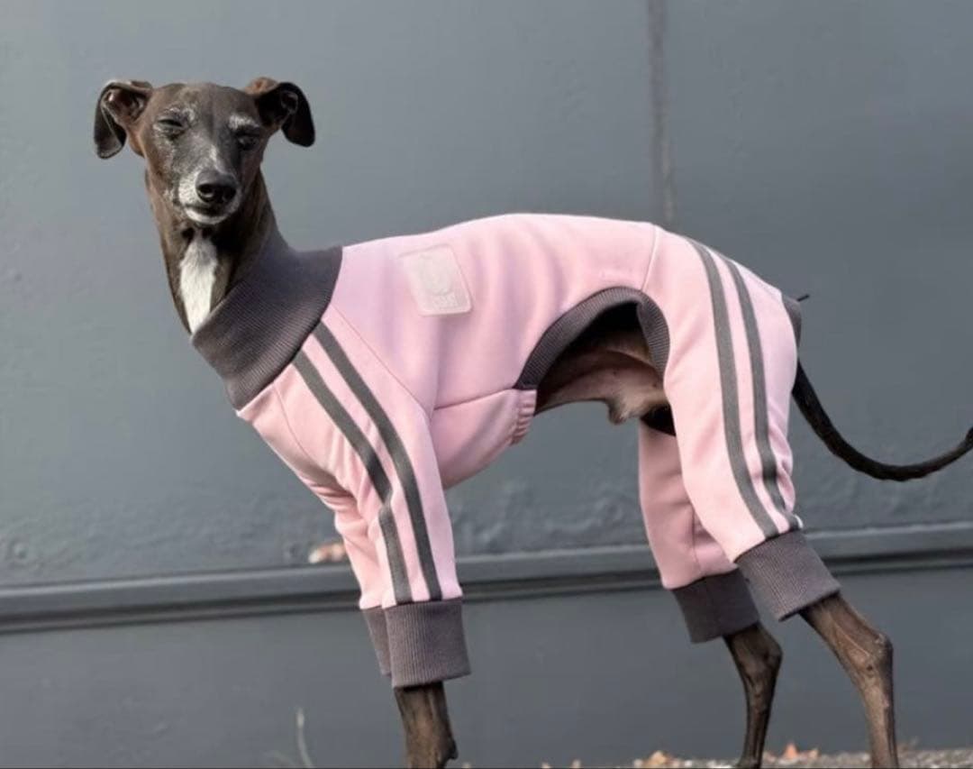 USHHジッパー付ピンクジャージロンパース　L