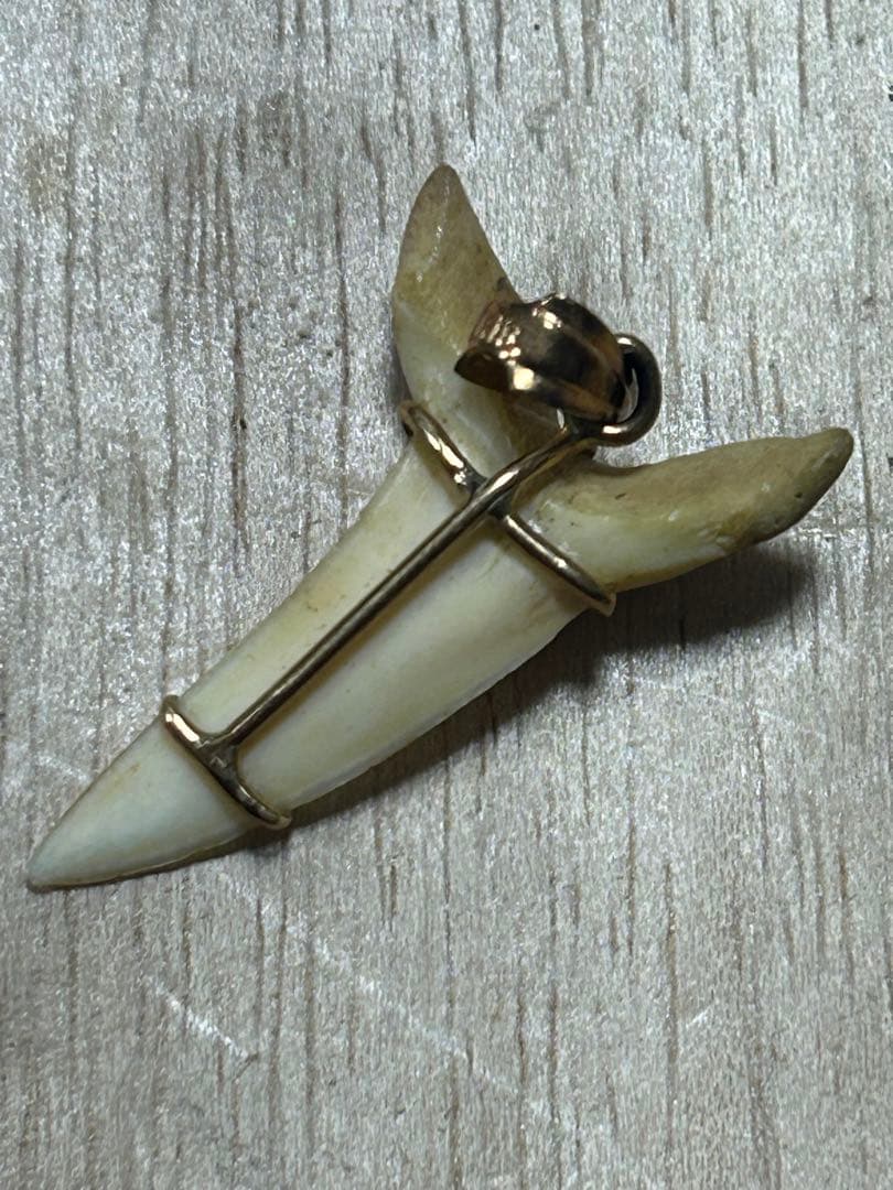 K18天然素材の歯ペンダント ゴールド装飾