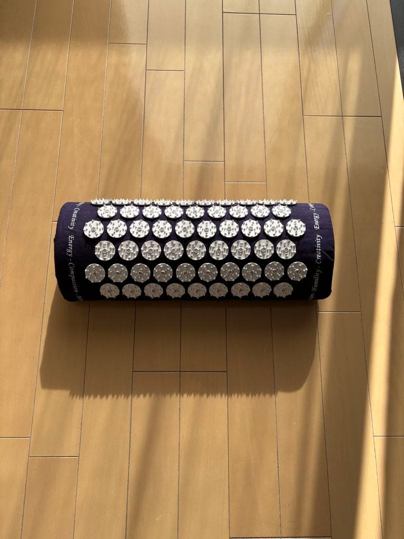 み*い様 【正規品】究極のシャクティセット Advance / Indigo