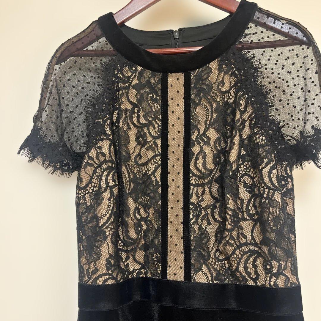 タダシショージ フラワーレース切り替えドレス ドットチュール サイズ2